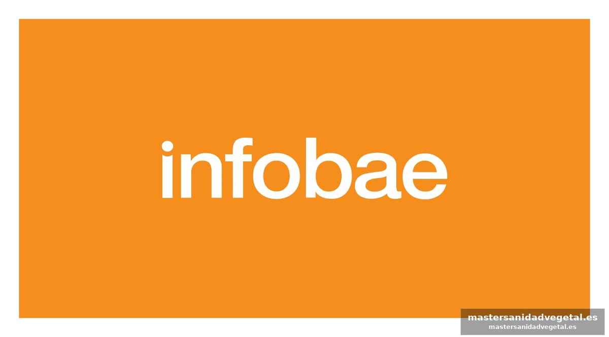 Declaraciones de Dejan Bodiroga